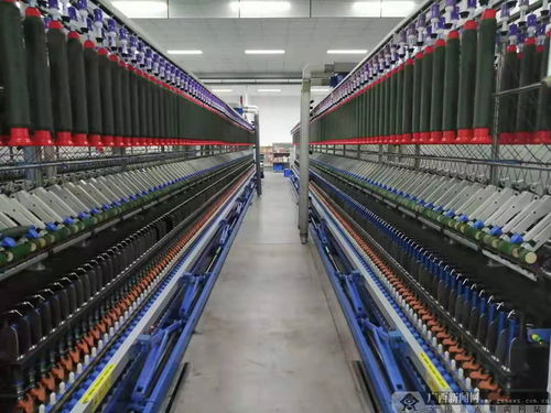 文旅桂林行 临桂溢达 打造新型纺织工业产业链